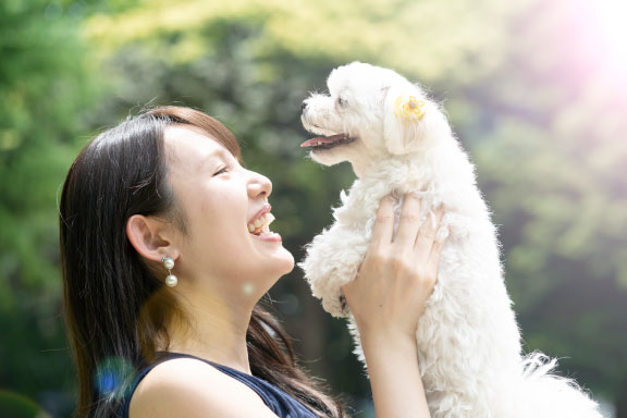 わんスポット_犬とのポジティブなコミュニケーション